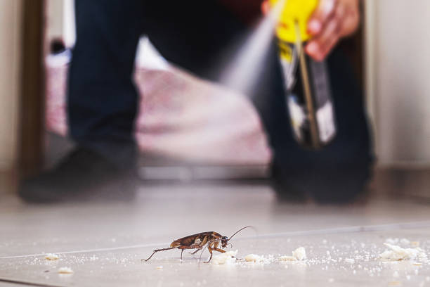 Pest Control for Restaurants in Choudrant, LA